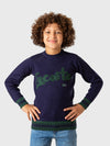 Lacoste Pullover